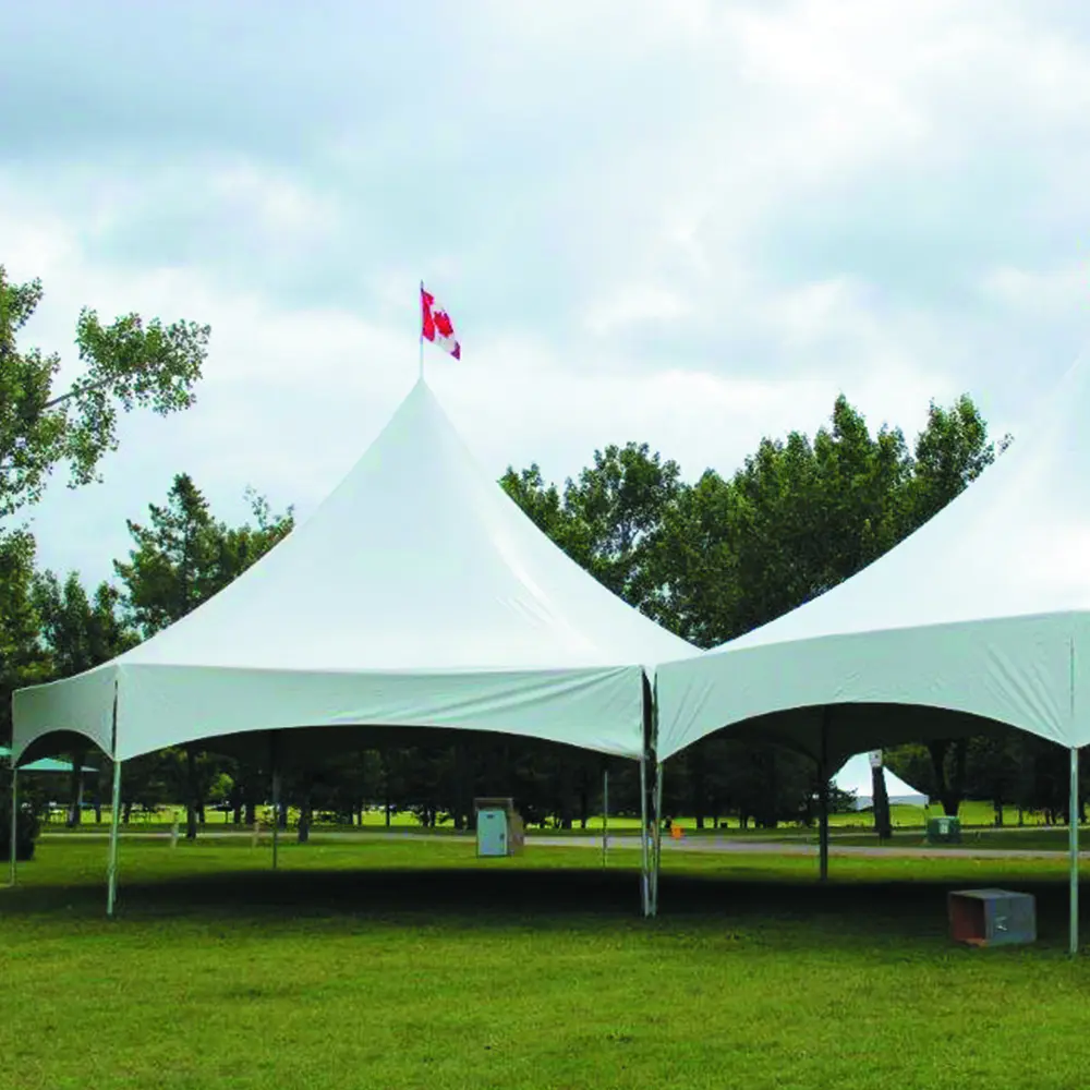 Factory Folding 10x10 Ft canopy tent Trade Show Pop up Outdoor gazebo Tent for Events