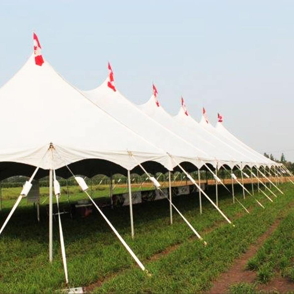 50-100 People small party wedding peg and pole tents