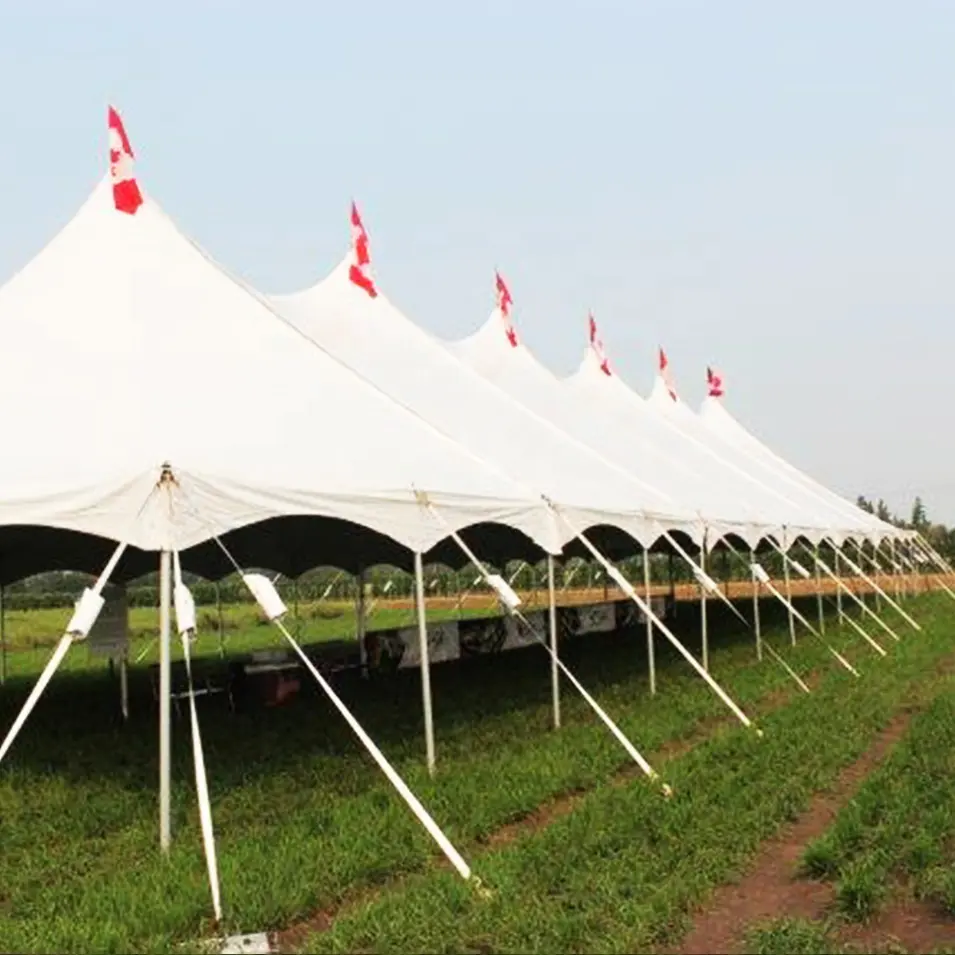 50-100 People small party wedding peg and pole tents