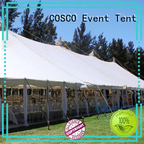 COSCO outdoor gazebo tent  supply pest control