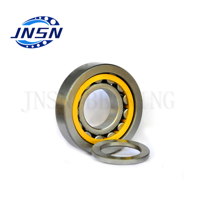Cylindrical Roller Bearing NFP 304 Size 20x52x15 mm